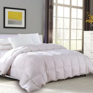 Lightweight Down Comforter All Seasons Down Duvet Insert